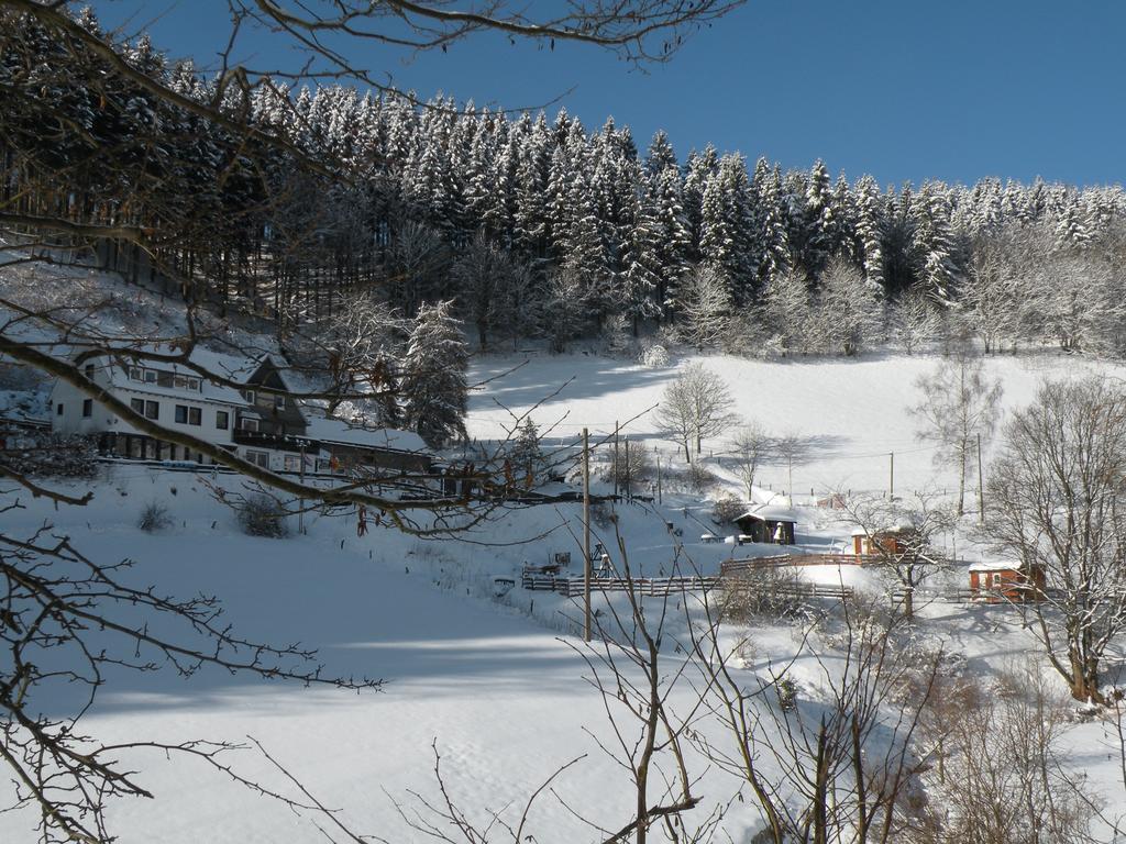 Landgasthof Nesselbach Nordenau Eksteriør billede