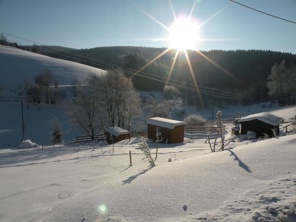 Landgasthof Nesselbach Nordenau Eksteriør billede