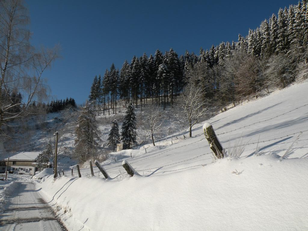 Landgasthof Nesselbach Nordenau Eksteriør billede